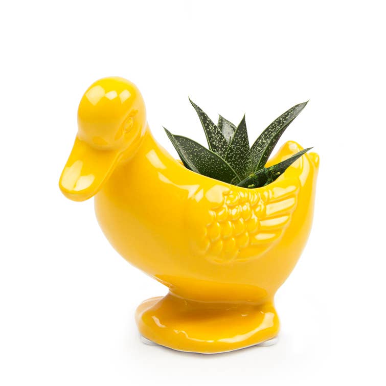 Duck/Turtle Indoor Plant Pot for Succulents
