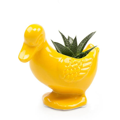 Duck/Turtle Indoor Plant Pot for Succulents