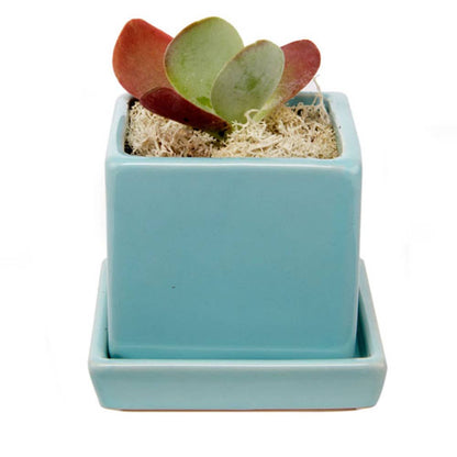 Cube Pot With Saucer And Drainage Hole 60 Plus Colors
