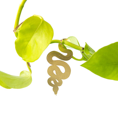 Plant Animal - Snake, botanical decor in brass