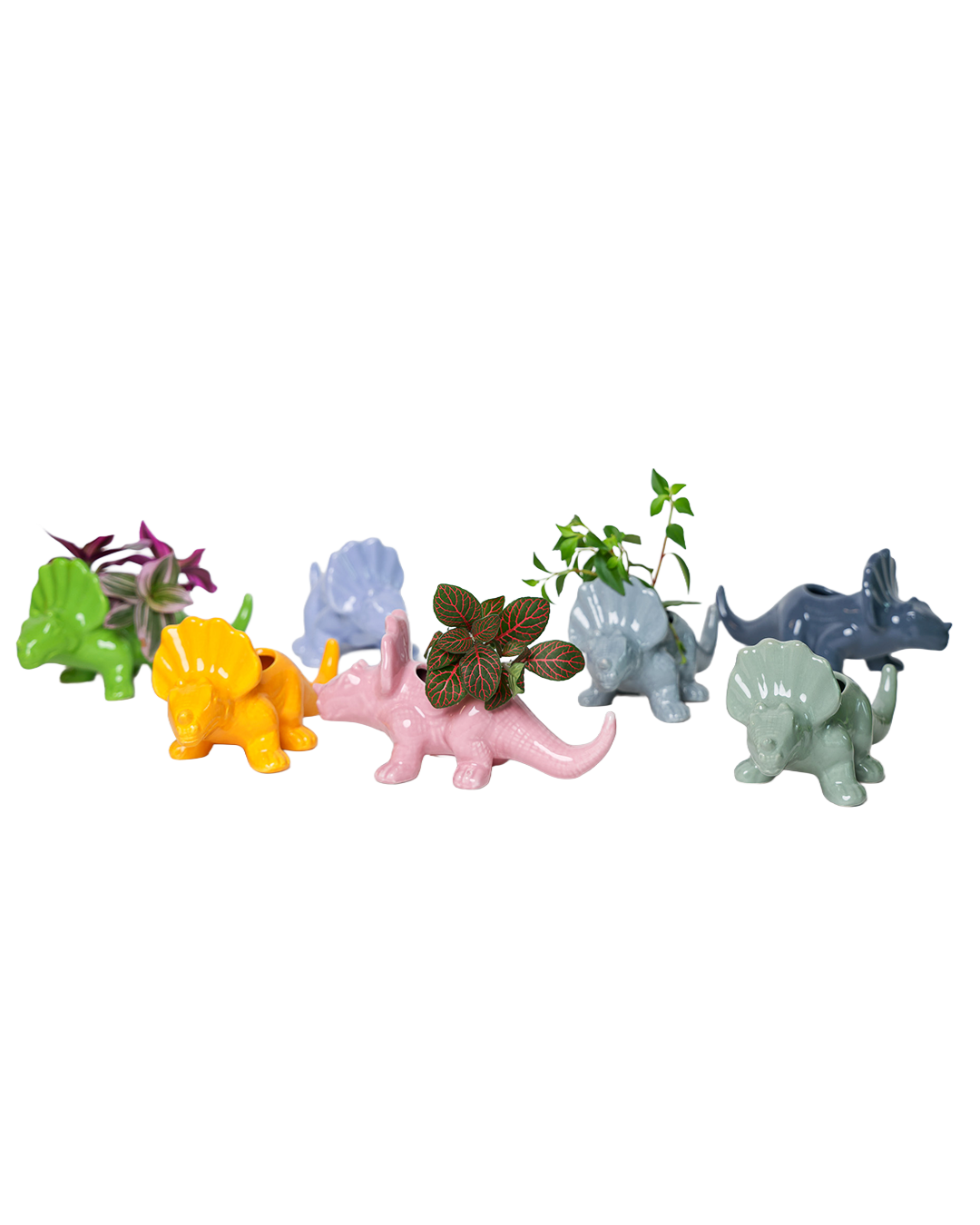 Dinosaur Ceramic Indoor Plant Pot Kits