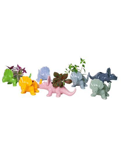 Dinosaur Ceramic Indoor Plant Pot Kits