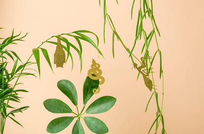 Plant Animal - Praying Mantis, Insect Decoration