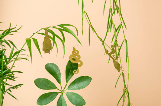 Plant Animal - Praying Mantis, Insect Decoration