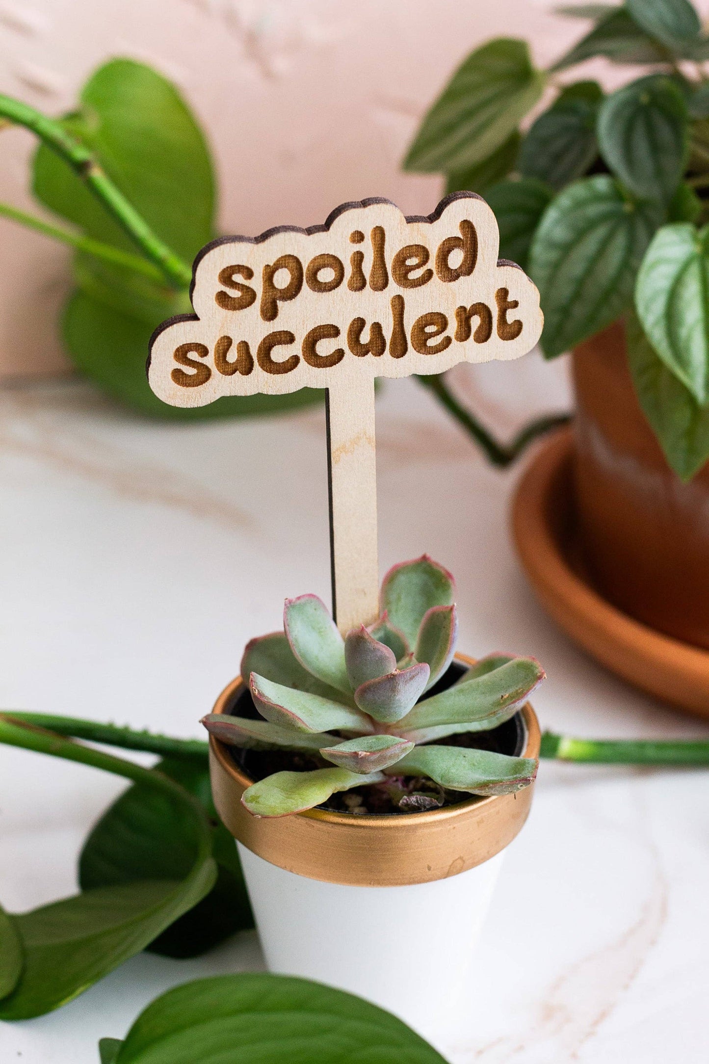 Retro Funny Wooden Plant Markers