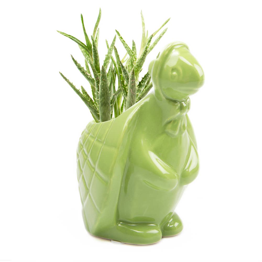 Duck/Turtle Indoor Plant Pot for Succulents