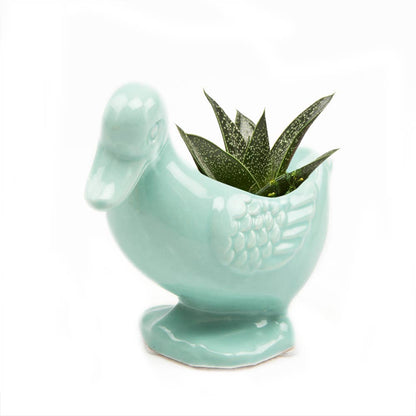 Duck/Turtle Indoor Plant Pot for Succulents
