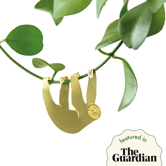 Plant Animal - Sloth, cute houseplant charm
