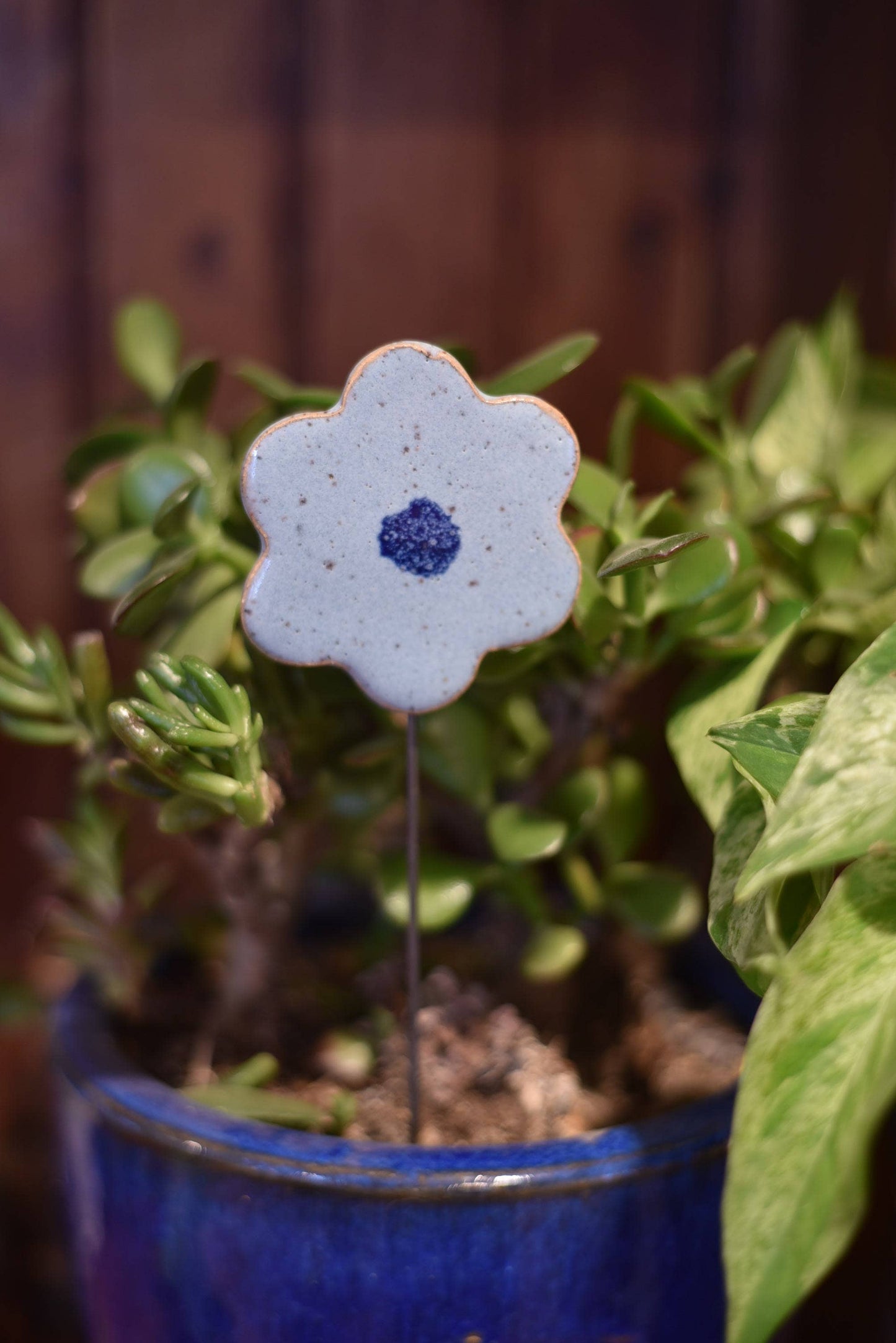 Plant Buddies - Flower