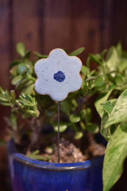 Plant Buddies - Flower