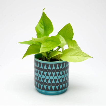 Magpie x Hornsea Small Planty - Plant Pot Backgammon Teal
