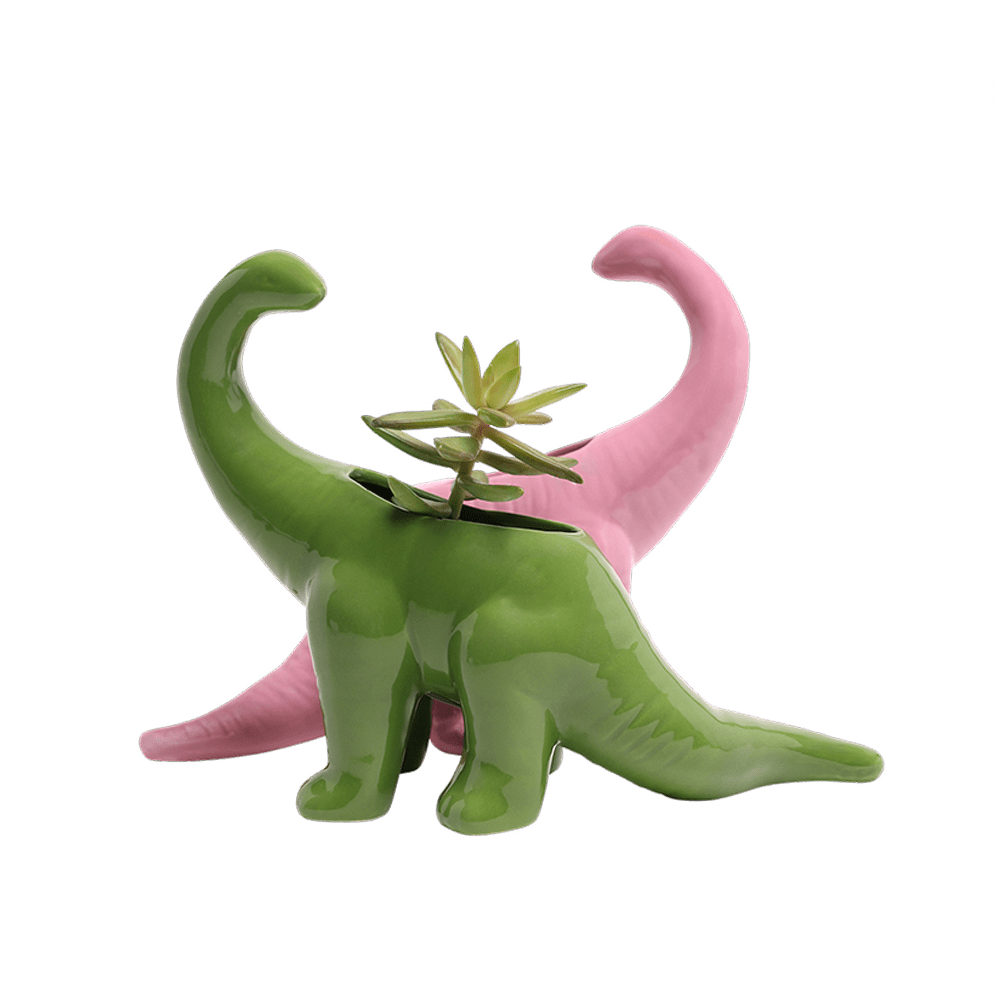 Dinosaur Ceramic Indoor Plant Pot Kits