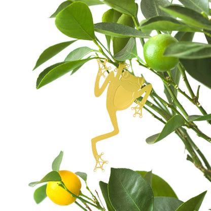 Plant Animal - Tree Frog, Houseplant Decoration
