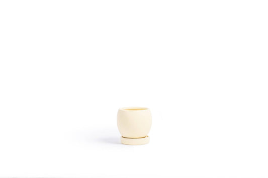 4.25" Bollé Pots w/Water Saucers - Almond