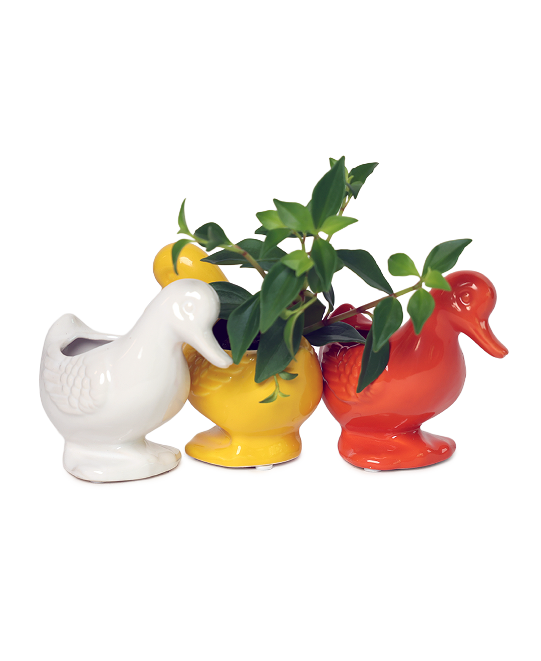 Duck/Turtle Indoor Plant Pot for Succulents