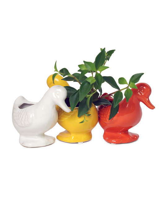 Duck/Turtle Indoor Plant Pot for Succulents