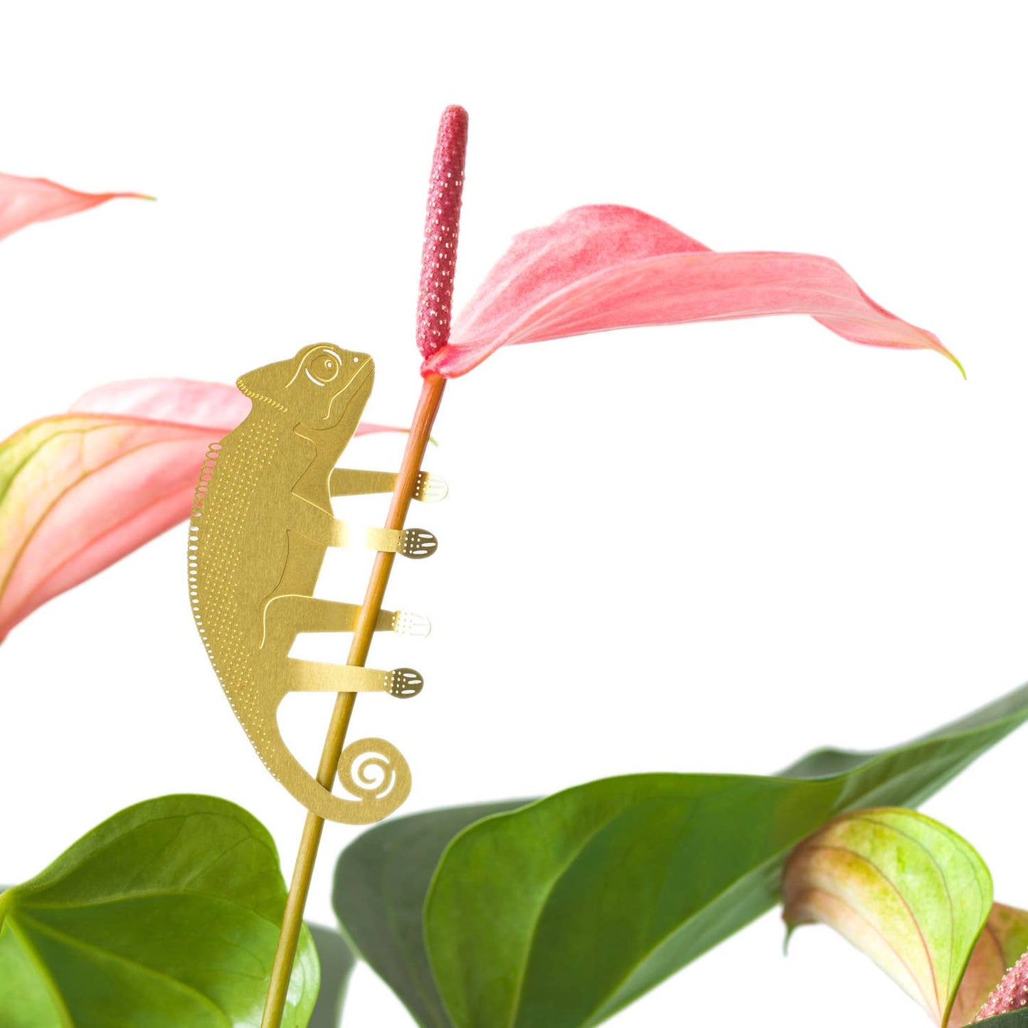 Plant Animal - Chameleon, garden decor