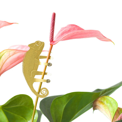 Plant Animal - Chameleon, garden decor