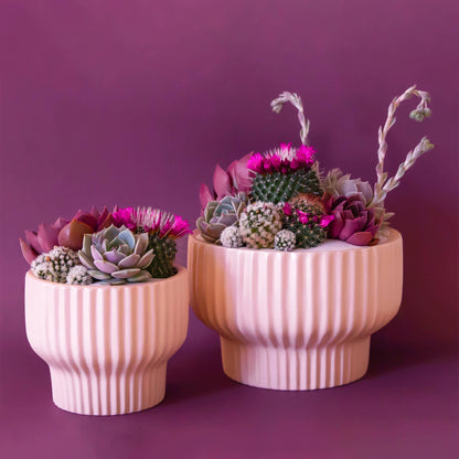 Presley Pedestal Planter | Ballerina