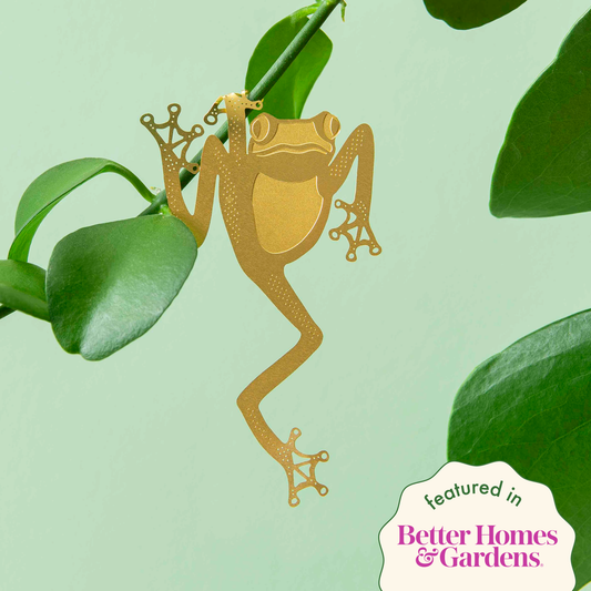 Plant Animal - Tree Frog, Houseplant Decoration