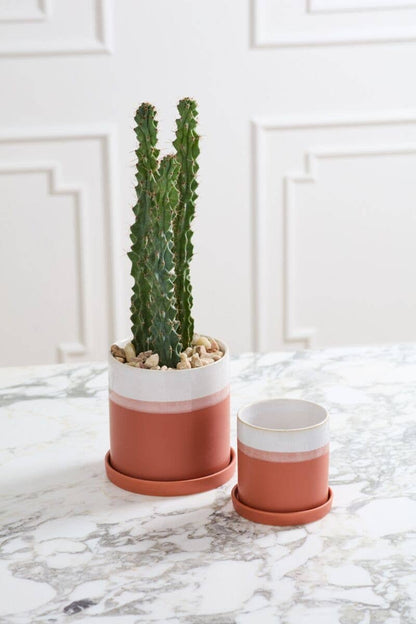 3" Dawn Pot