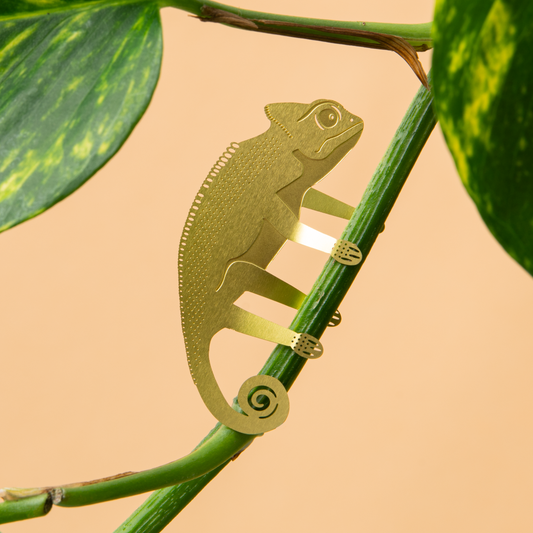 Plant Animal - Chameleon, garden decor