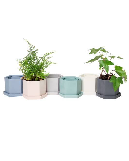 Boho Coastal Plant Pots | Handmade Ceramic Planters Drainage