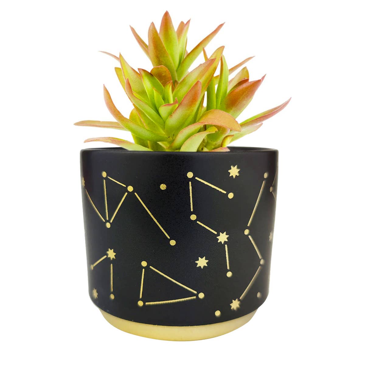 3" Celestial Pot - Succulent Planters For Small Spaces