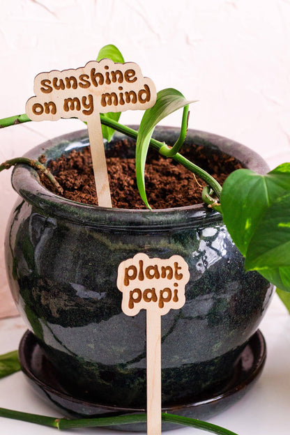 Retro Funny Wooden Plant Markers