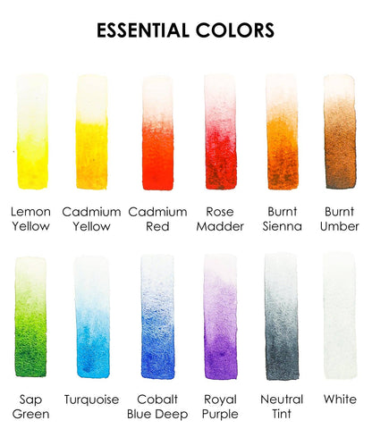 Watercolor Pocket Set Of 12 With Brush