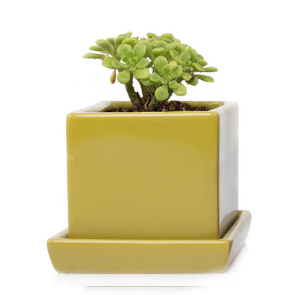Cube Pot With Saucer And Drainage Hole 60 Plus Colors