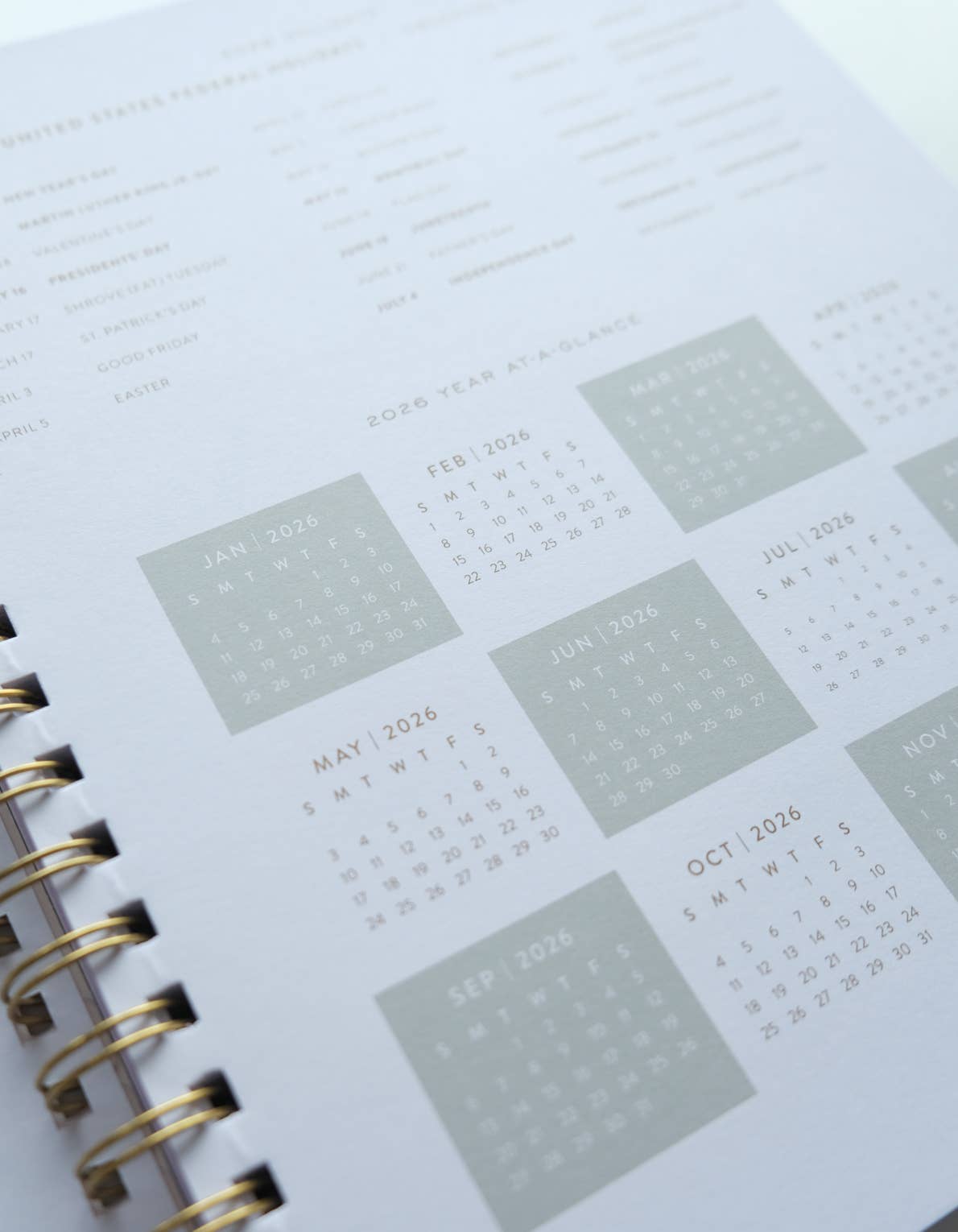 2026 Fullsize Softcover Planner, Primary Blooms