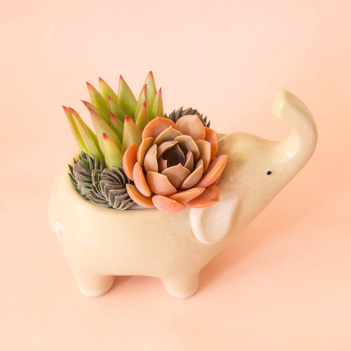 Elephant Planter | Sand