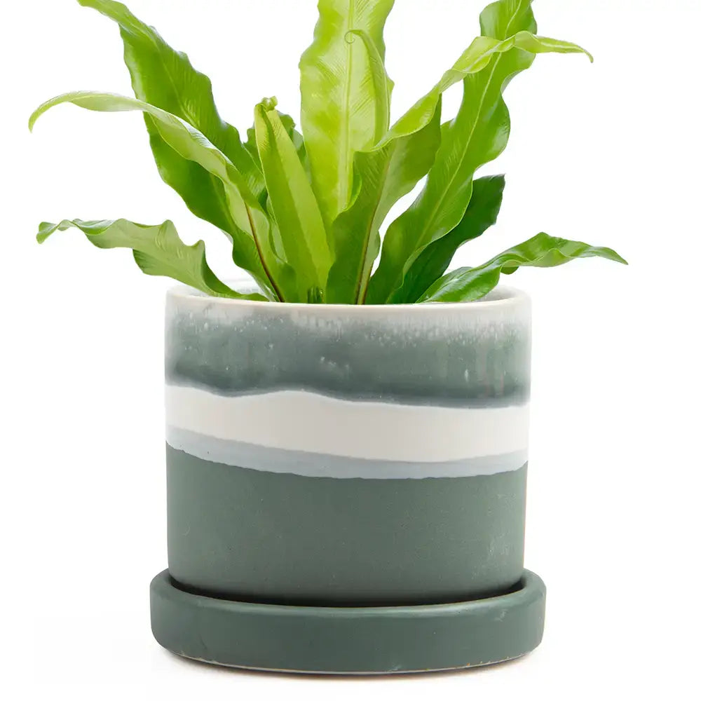 Minute Handmade Ceramic Planter Indoors Pot With Saucer