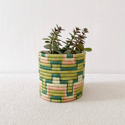 Gombe Basket Planter