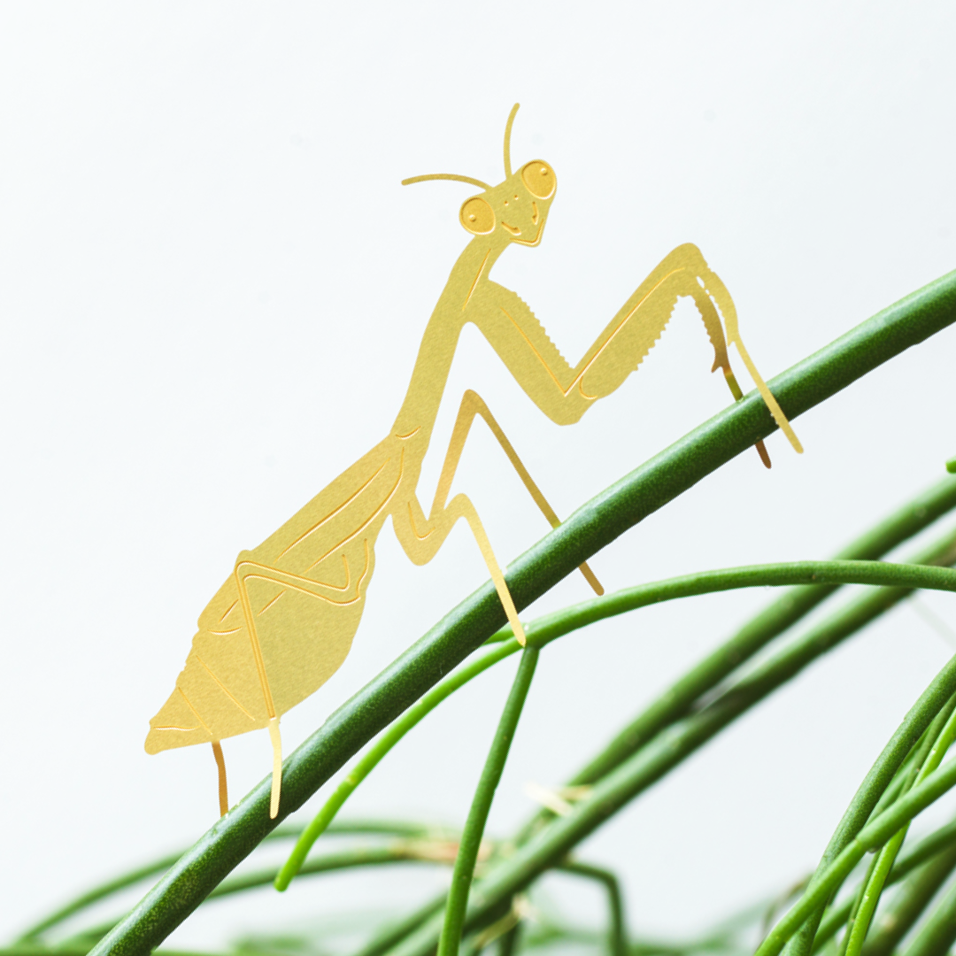 Plant Animal - Praying Mantis, Insect Decoration