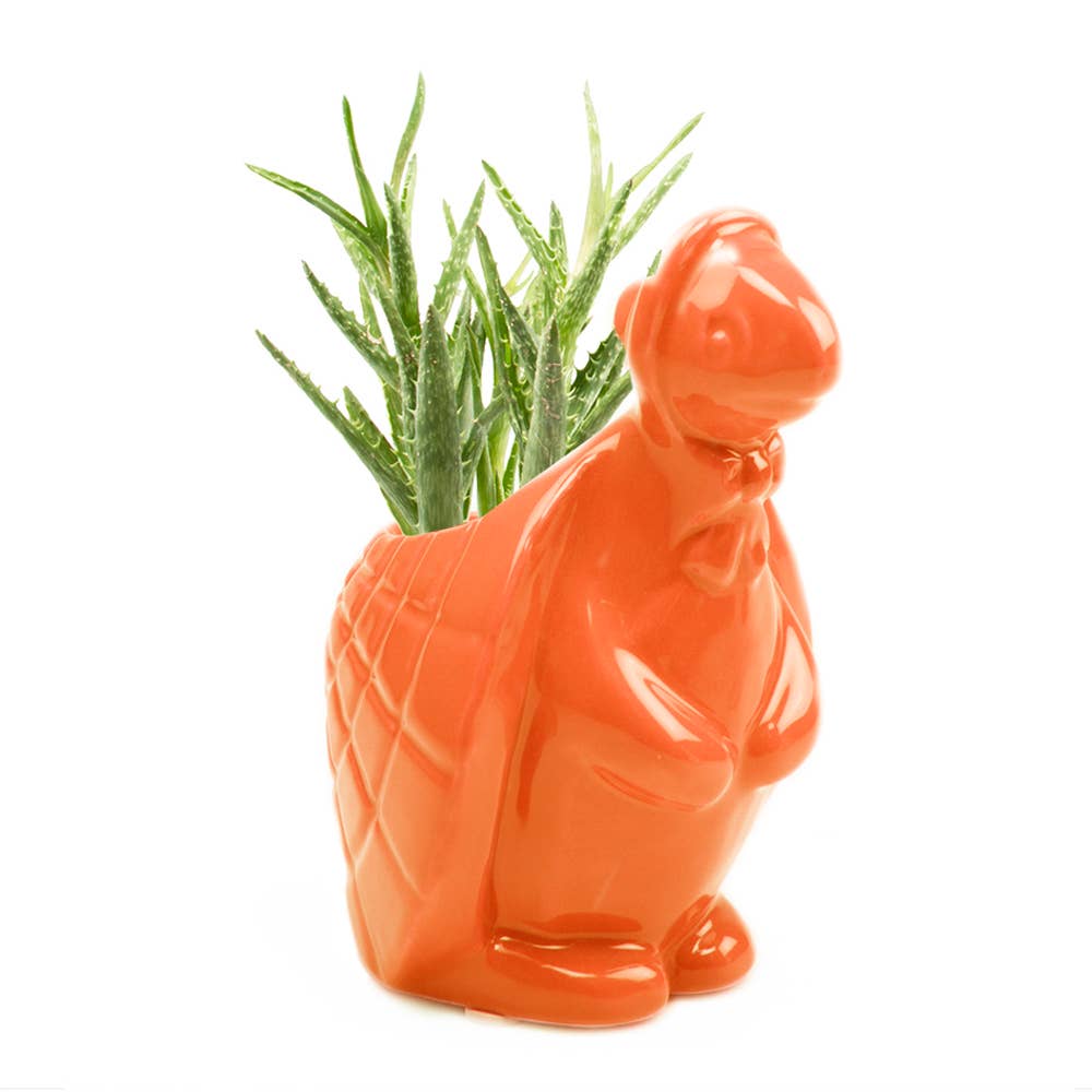 Duck/Turtle Indoor Plant Pot for Succulents