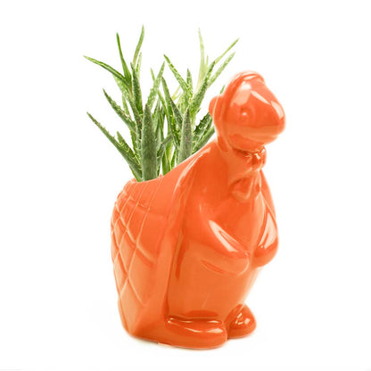 Duck/Turtle Indoor Plant Pot for Succulents