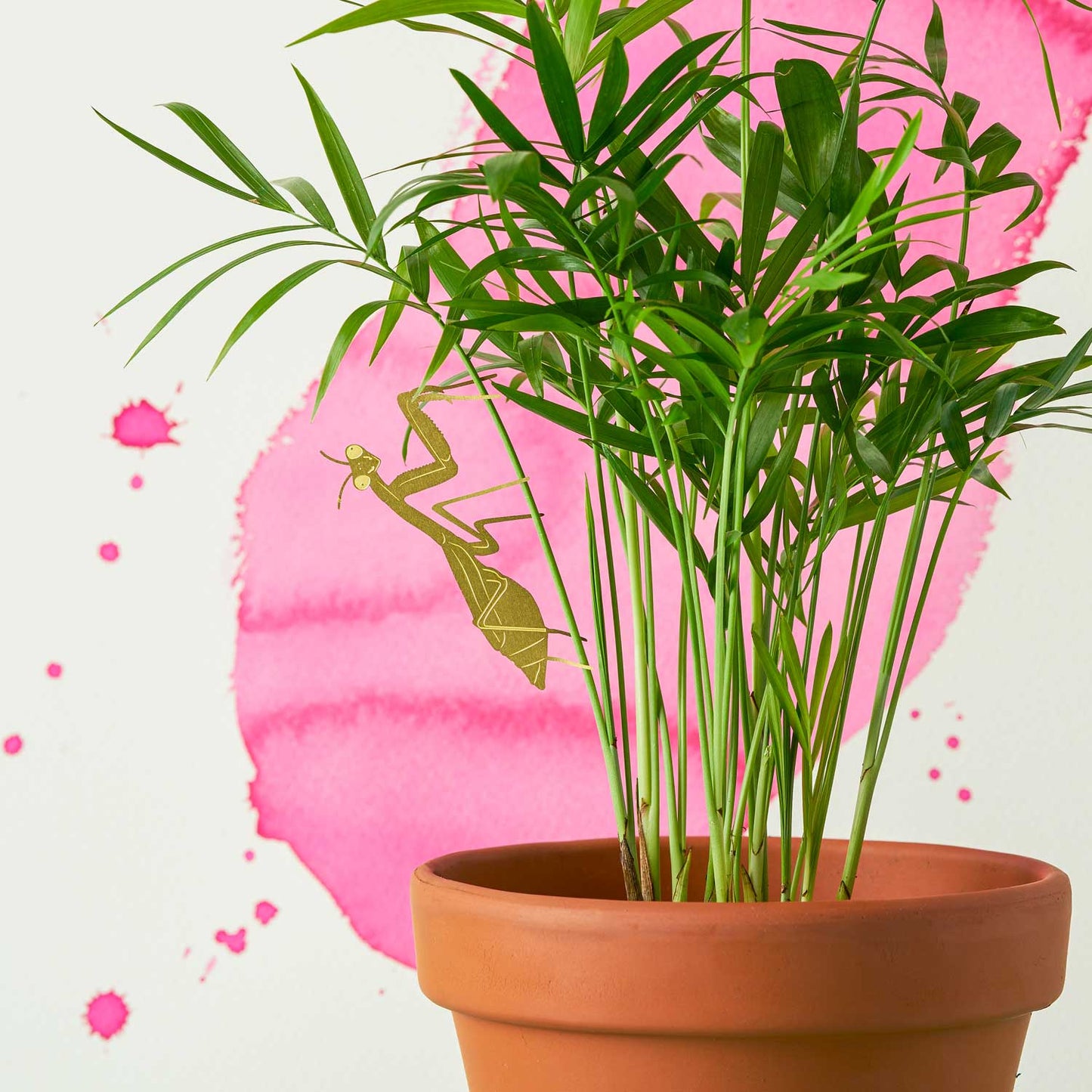 Plant Animal - Praying Mantis, Insect Decoration