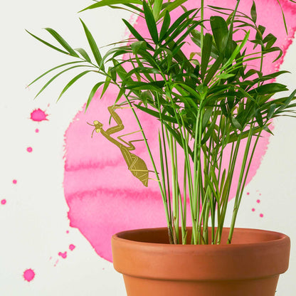 Plant Animal - Praying Mantis, Insect Decoration