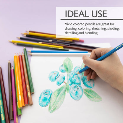 24 Colored Pencils