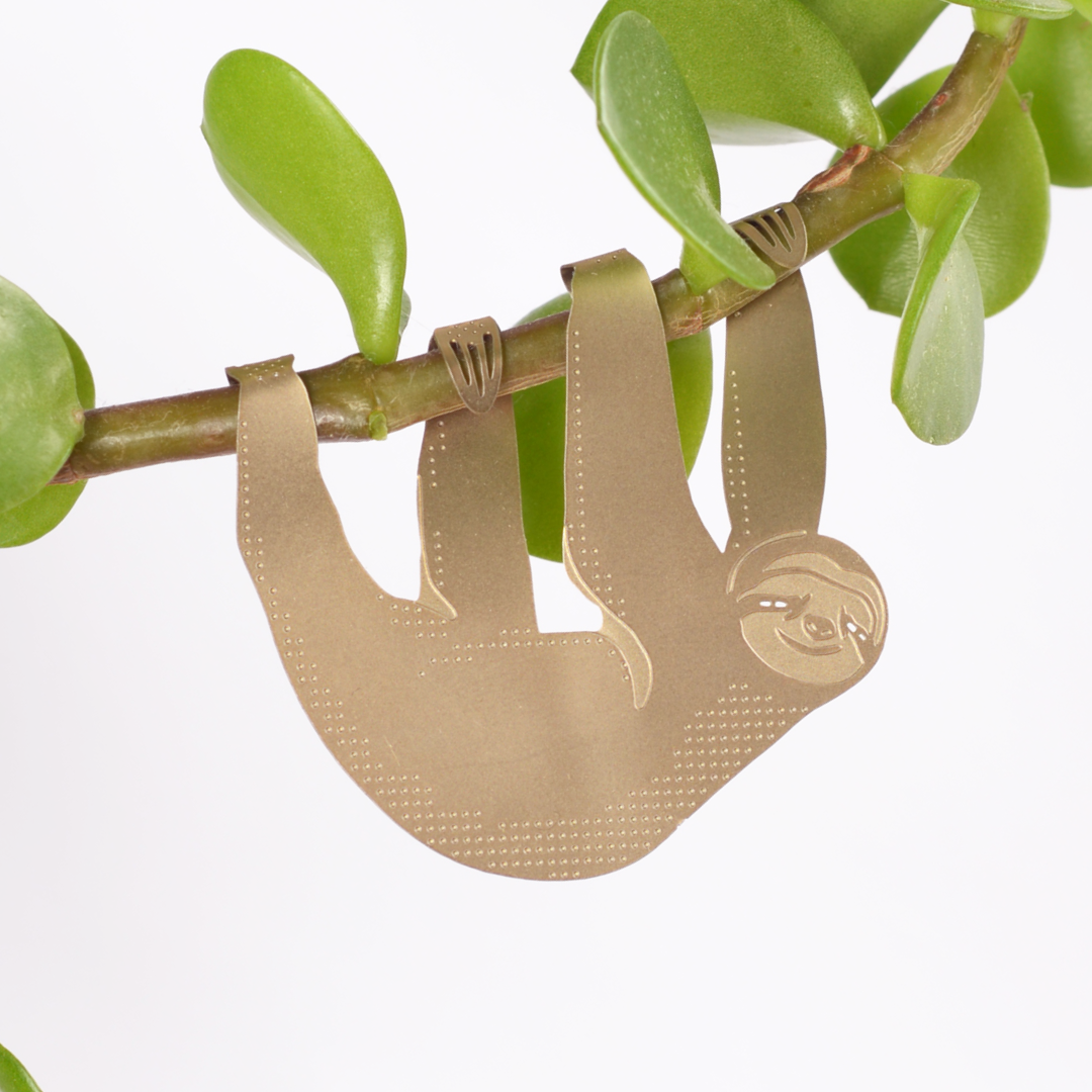 Plant Animal - Sloth, cute houseplant charm
