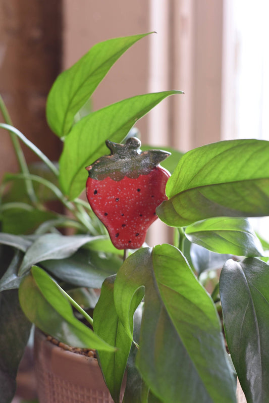 Plant Buddies - Strawberry