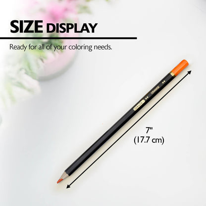 Color Pencil Designer Series (12/Pack)