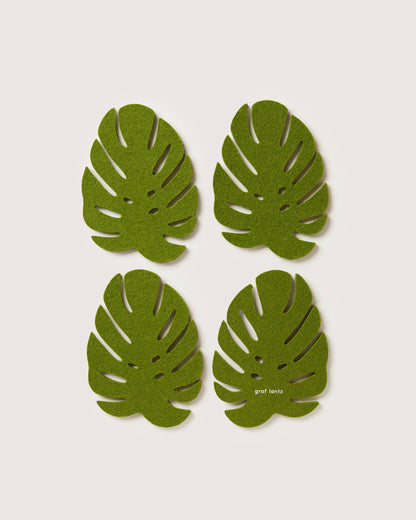 Merino Wool Monstera Coaster Set