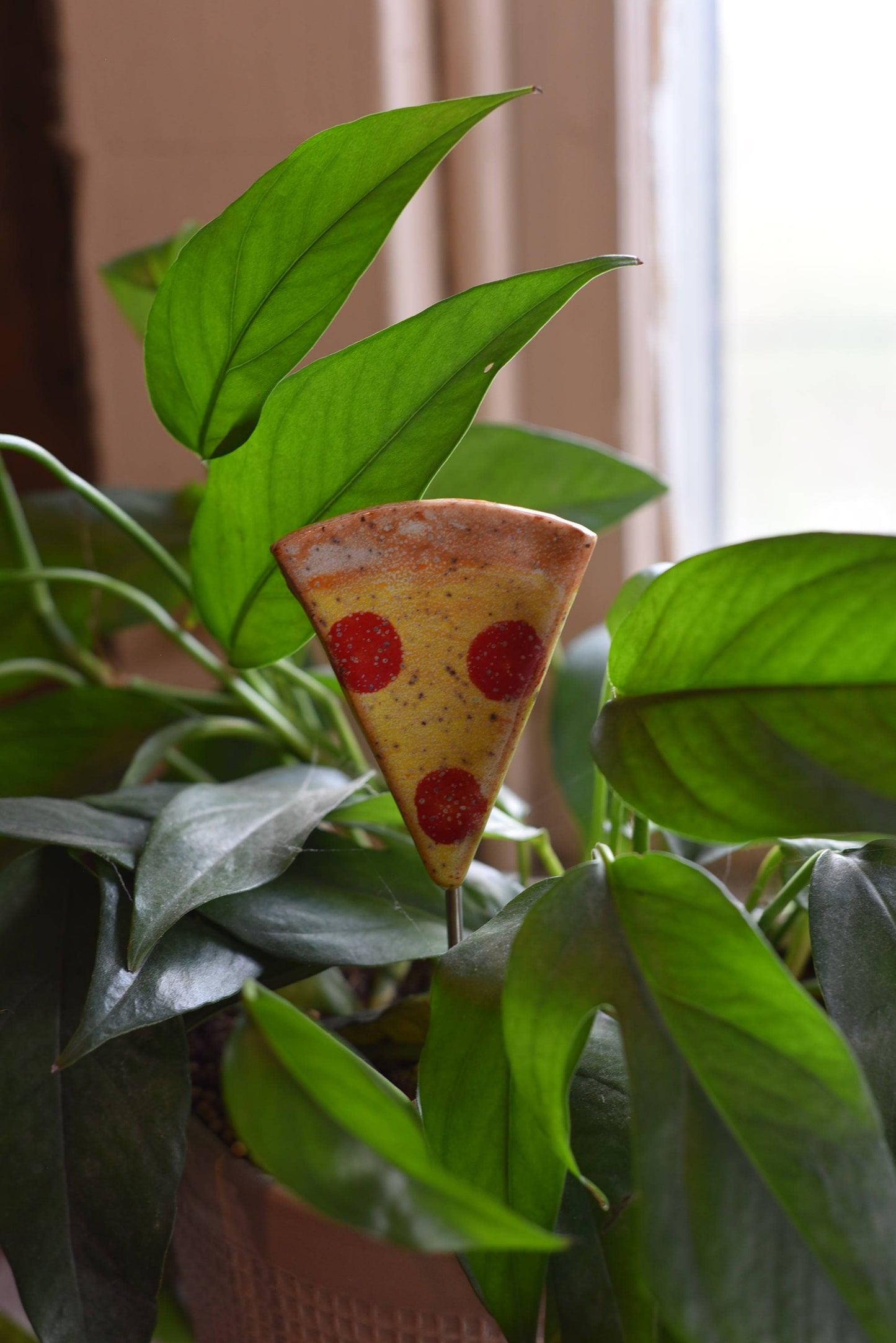 Plant Buddies - Pizza