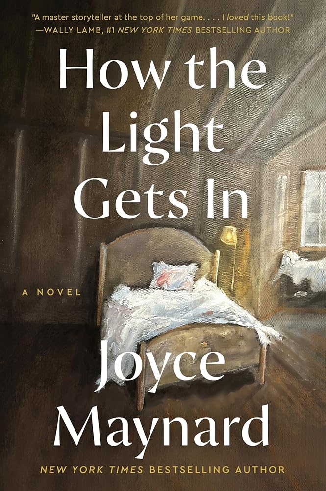 How the Light Gets In: A Novel cover image