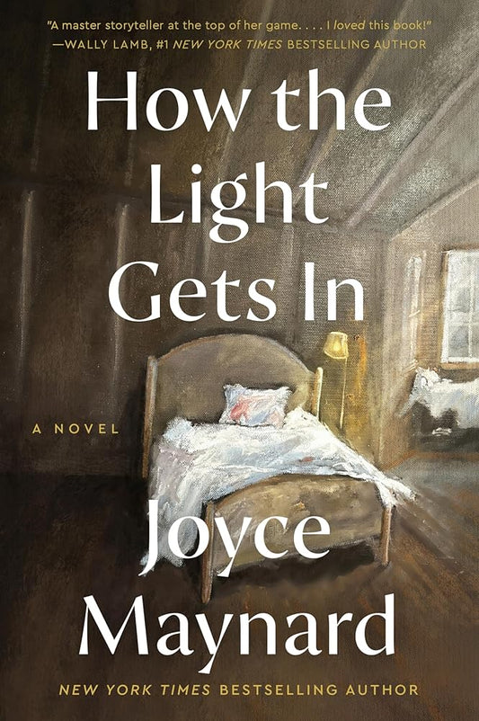 How the Light Gets In: A Novel cover image