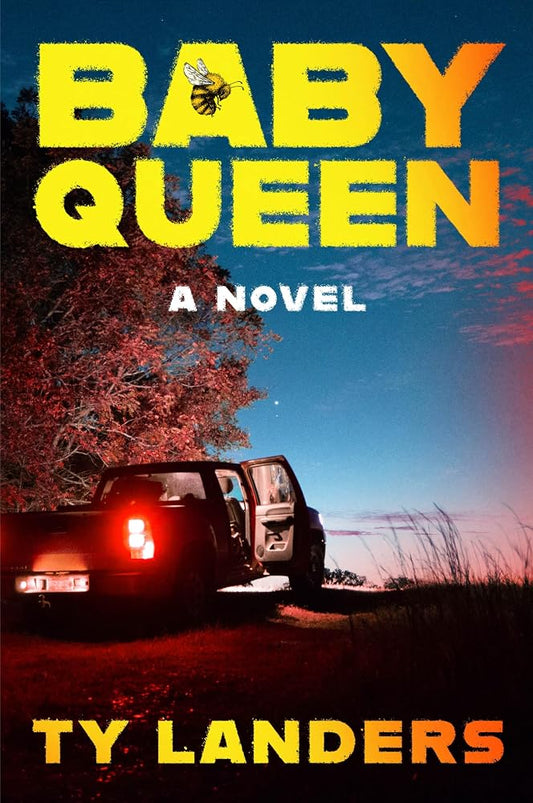 Baby Queen: A Novel cover image