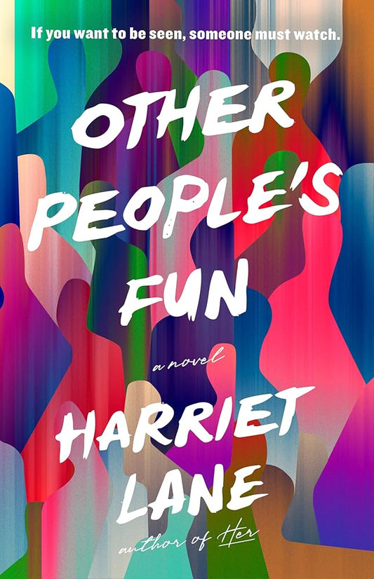 Other People's Fun: A Novel cover image